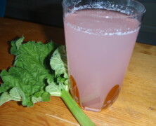 Rabarberdricka